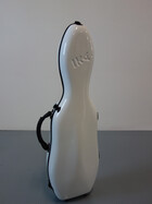Shaped violin case with carbon