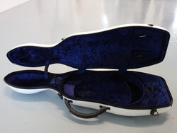 Shaped violin case with carbon