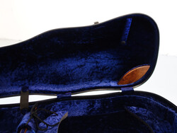 Shaped Violin Case