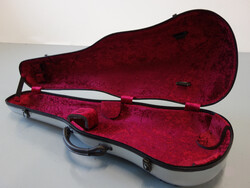 Standard model for viola